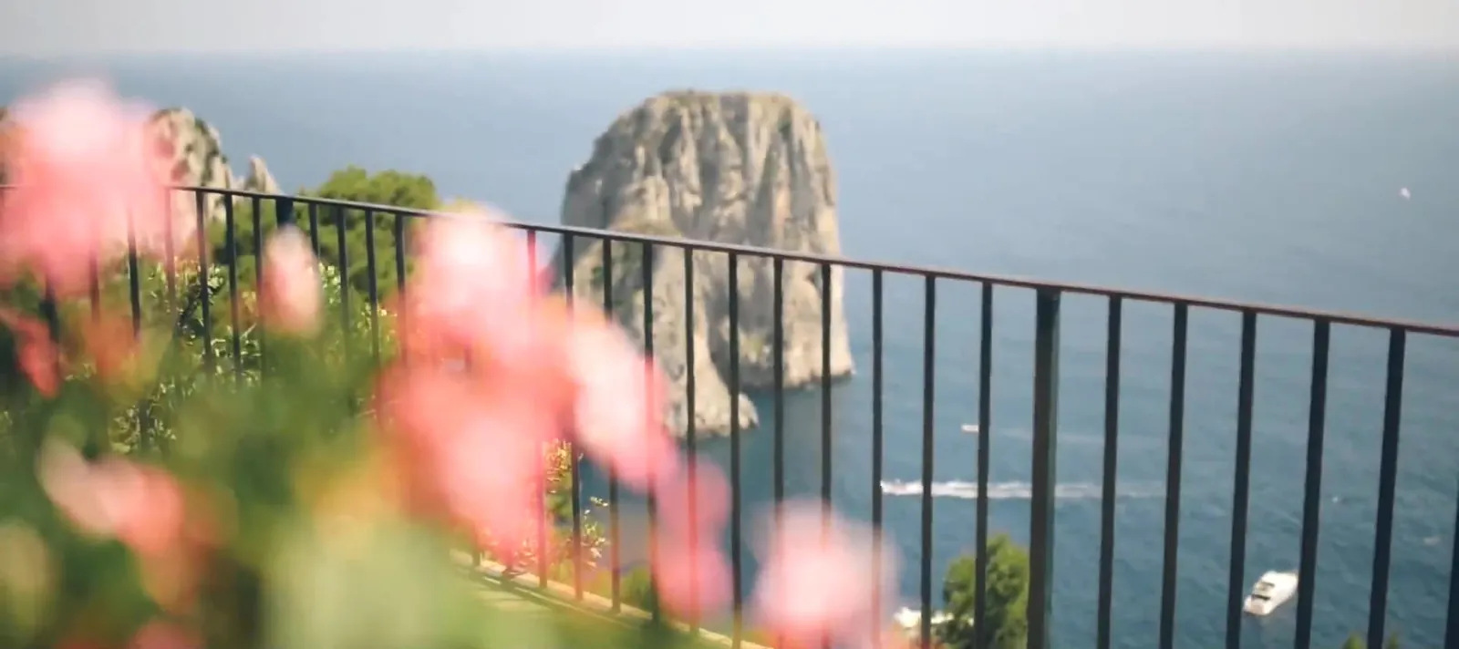 The Faraglioni of Capri seen from a terrace with flowers